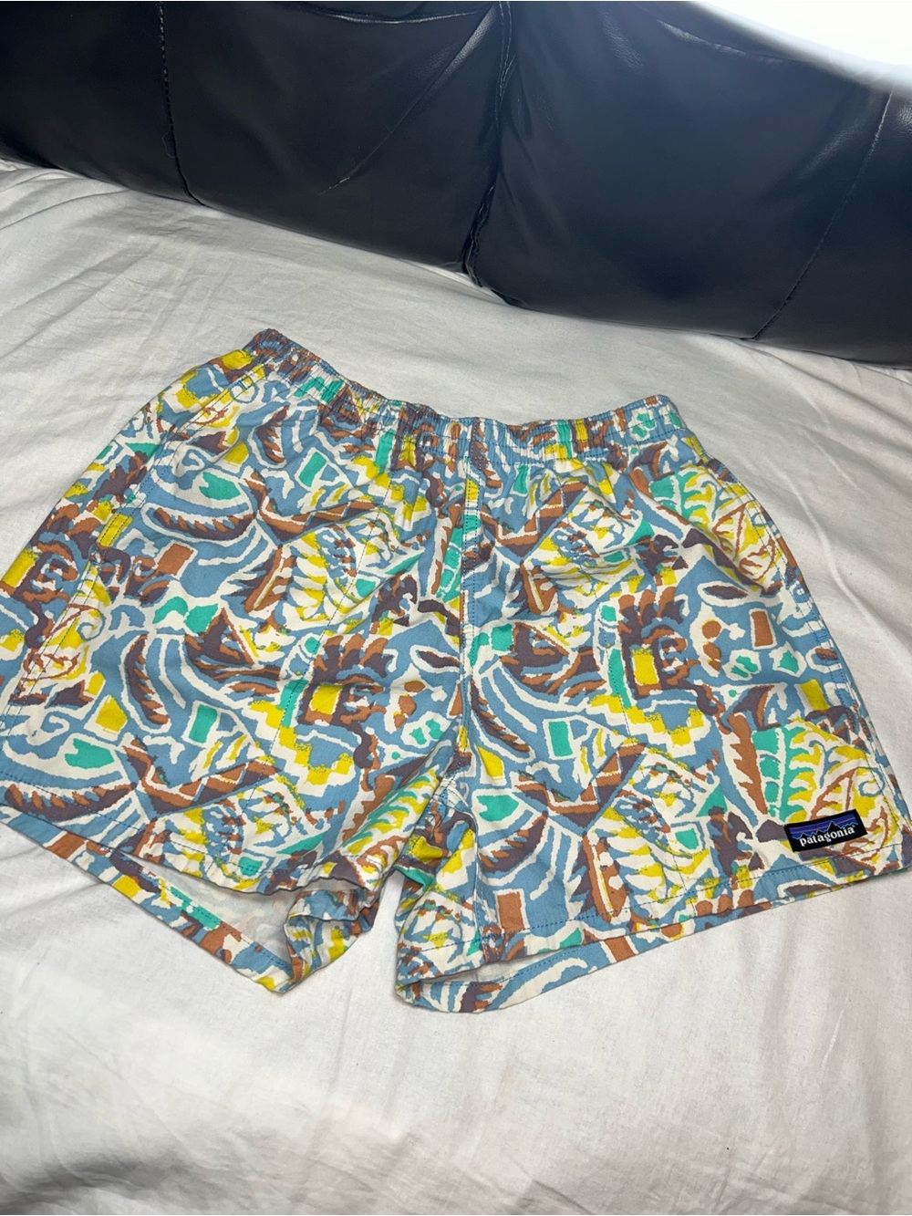 Patagonia Funhoggers Thriving Planet Lago Blue 4” Shorts